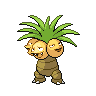 Pokemon Picture