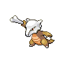 Pokemon Picture