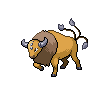 Pokemon Picture