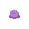 Pokemon Picture