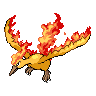 Pokemon Picture
