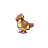 Pokemon Picture