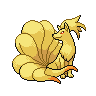 Pokemon Picture