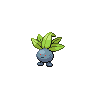 Pokemon Picture