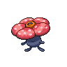 Pokemon Picture