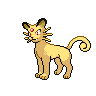 Pokemon Picture