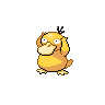 Pokemon Picture