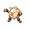 Pokemon Picture