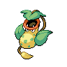 Pokemon Picture