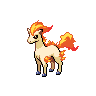 Pokemon Picture