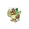 Pokemon Picture